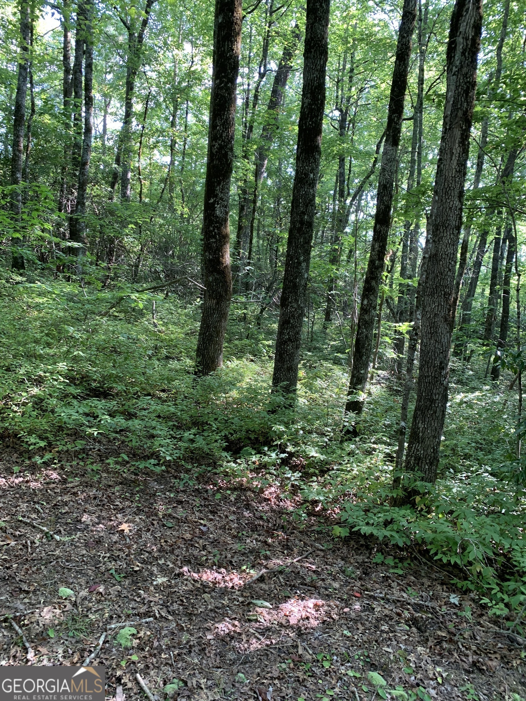 0 Maple Leaf Drive # 6 Property Photo 2