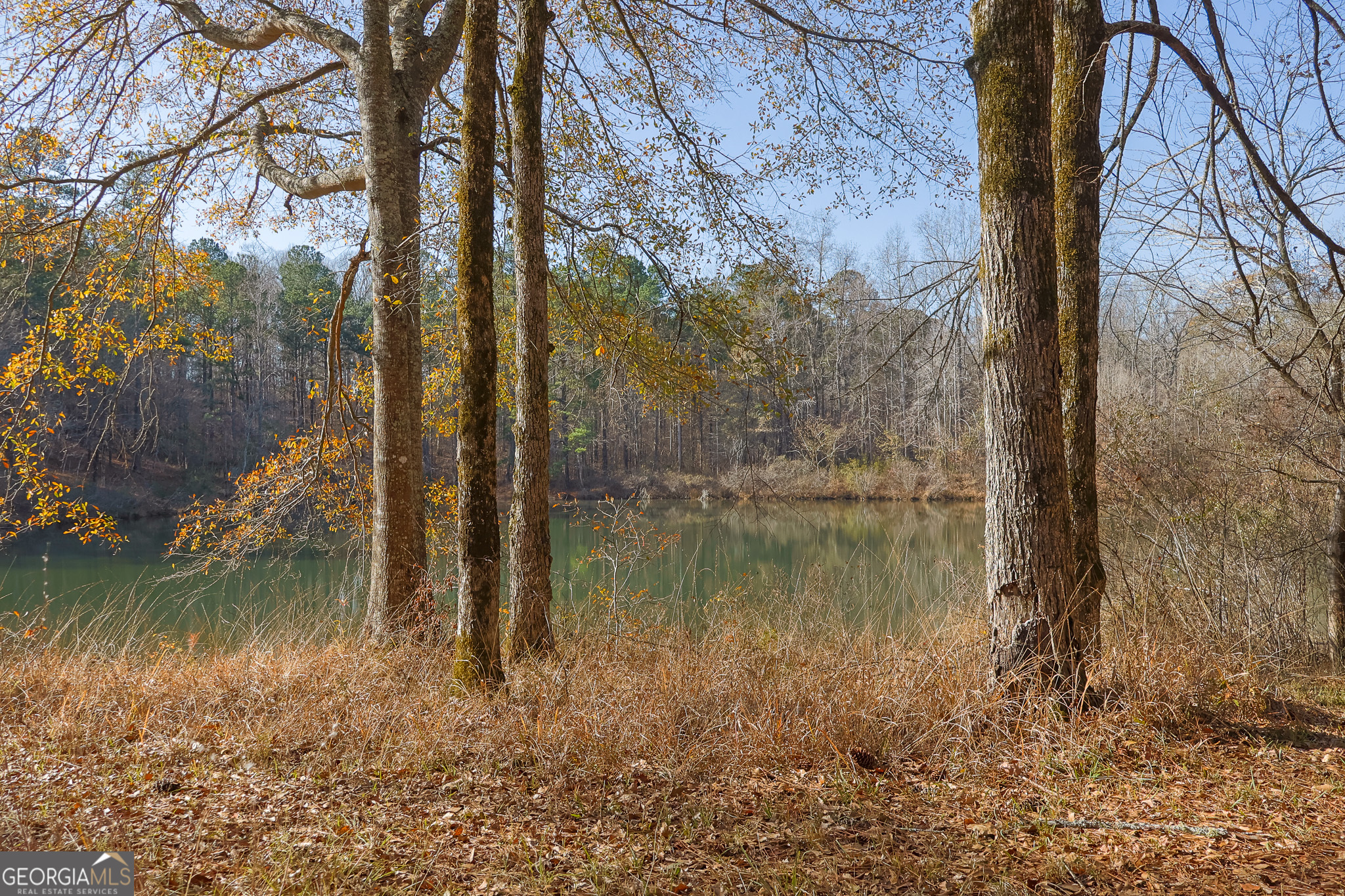 3086 Gray Highway Property Photo 2