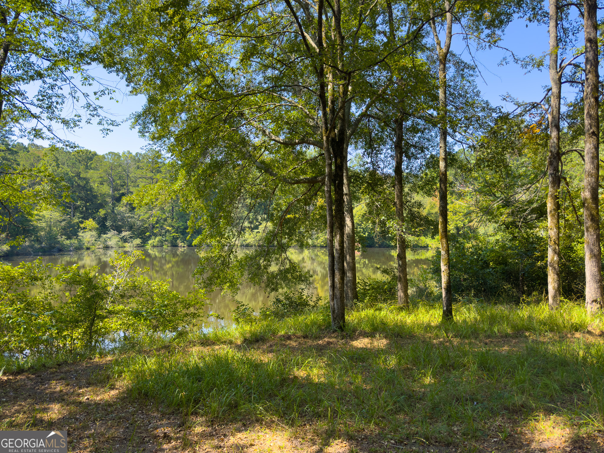 3086 Gray Highway Property Photo 3