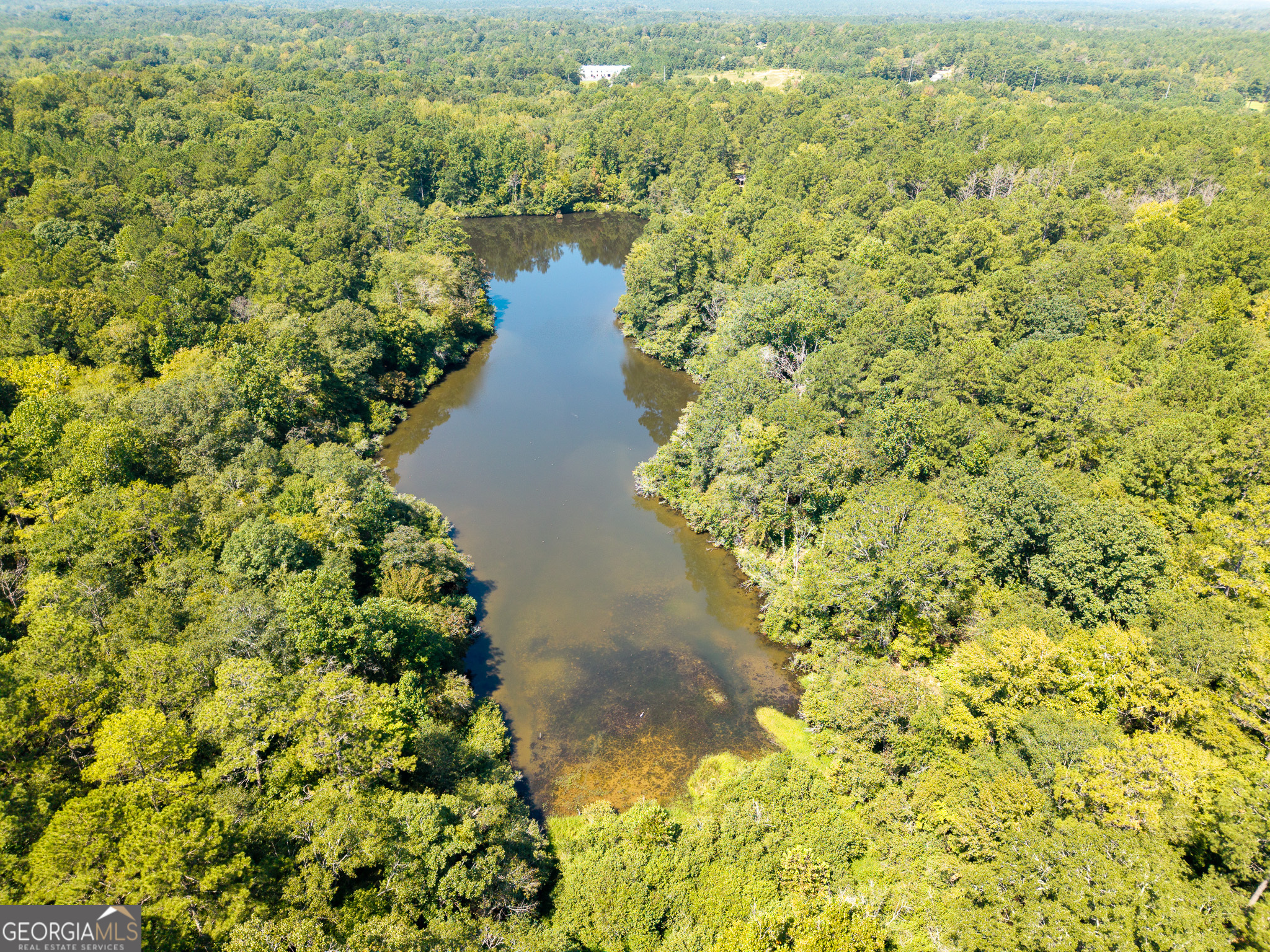 3086 Gray Highway Property Photo 4