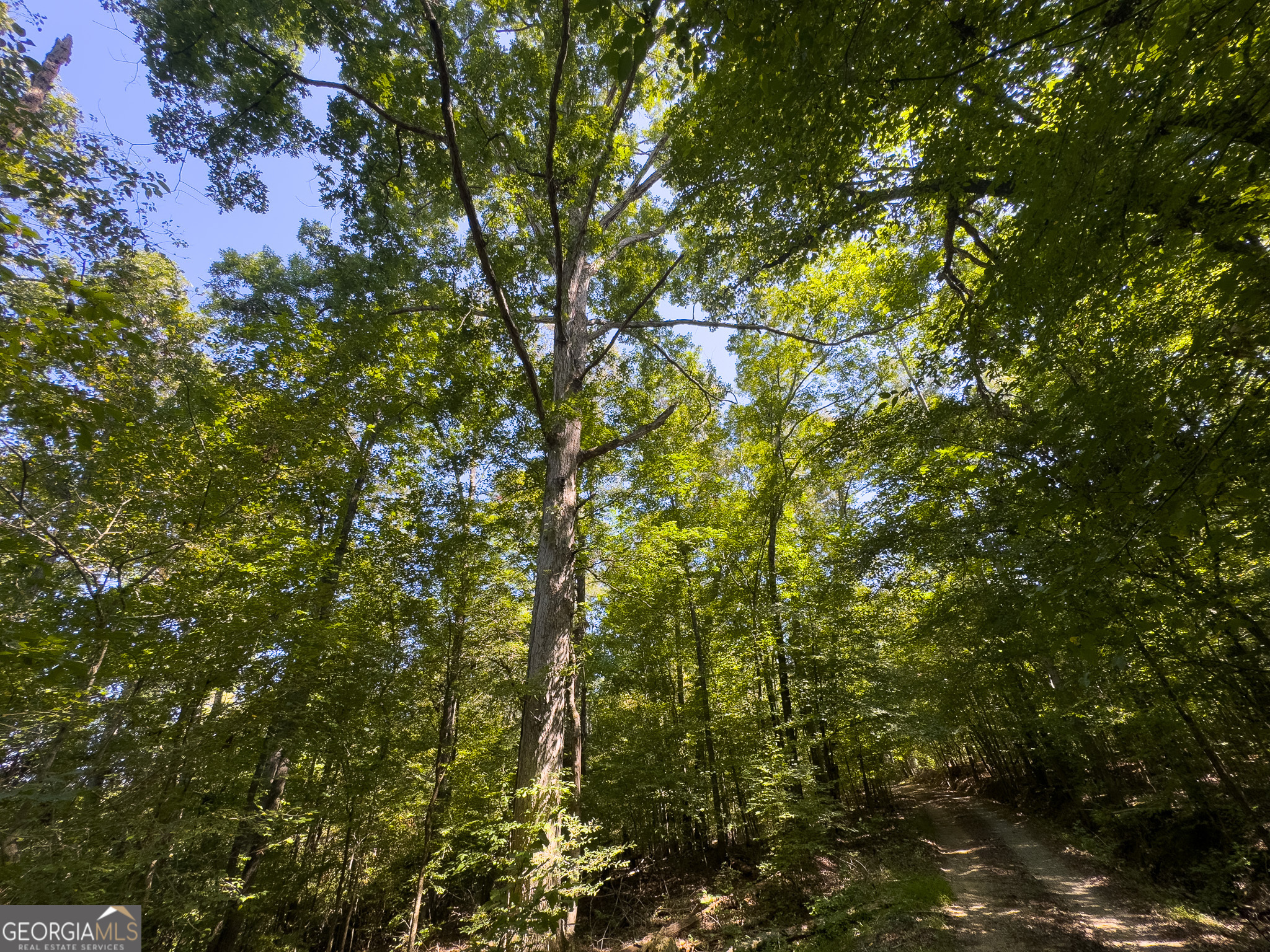 3086 Gray Highway Property Photo 13