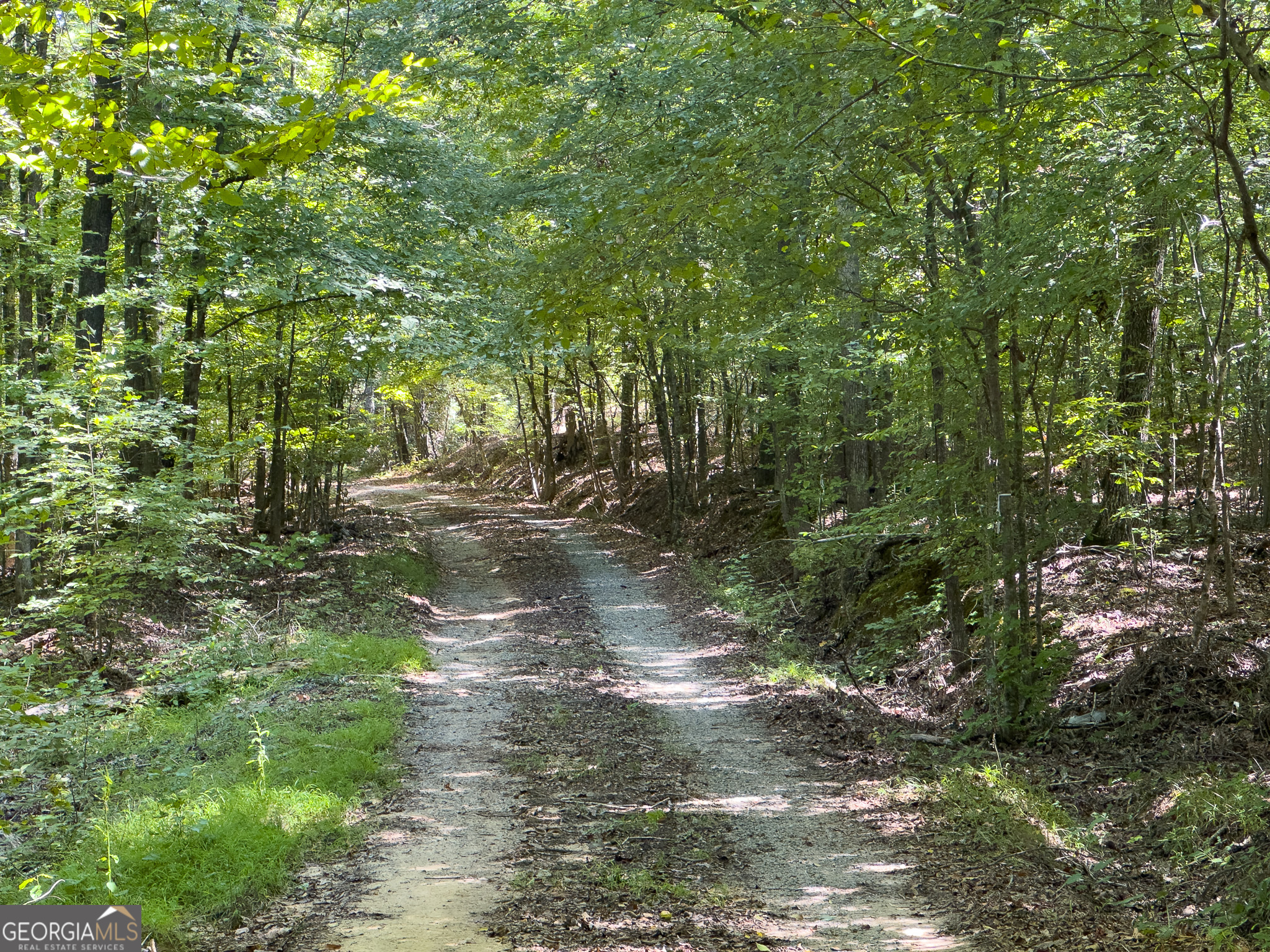 3086 Gray Highway Property Photo 14