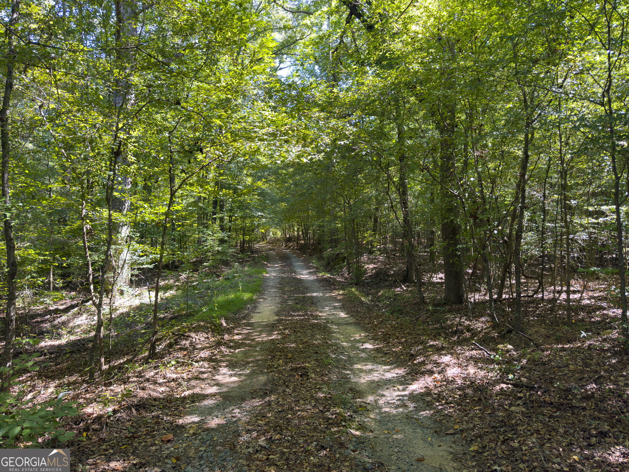 3086 Gray Highway Property Photo 15