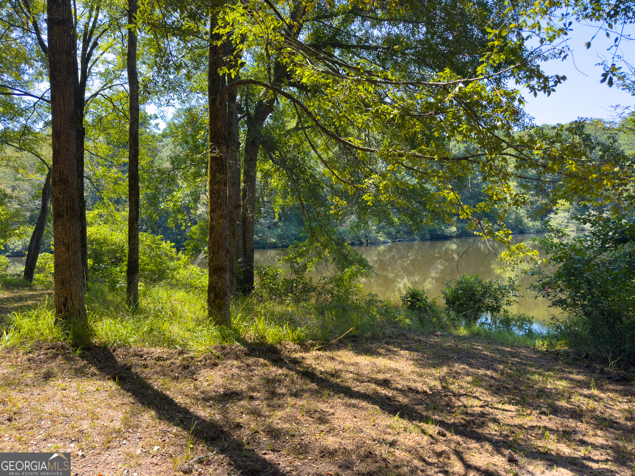 3086 Gray Highway Property Photo 18
