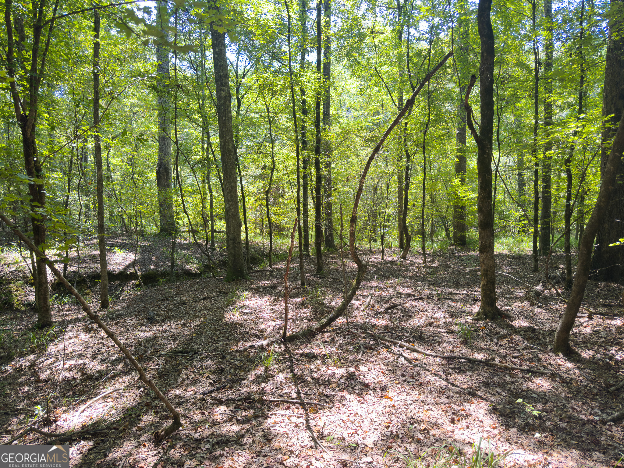 3086 Gray Highway Property Photo 19
