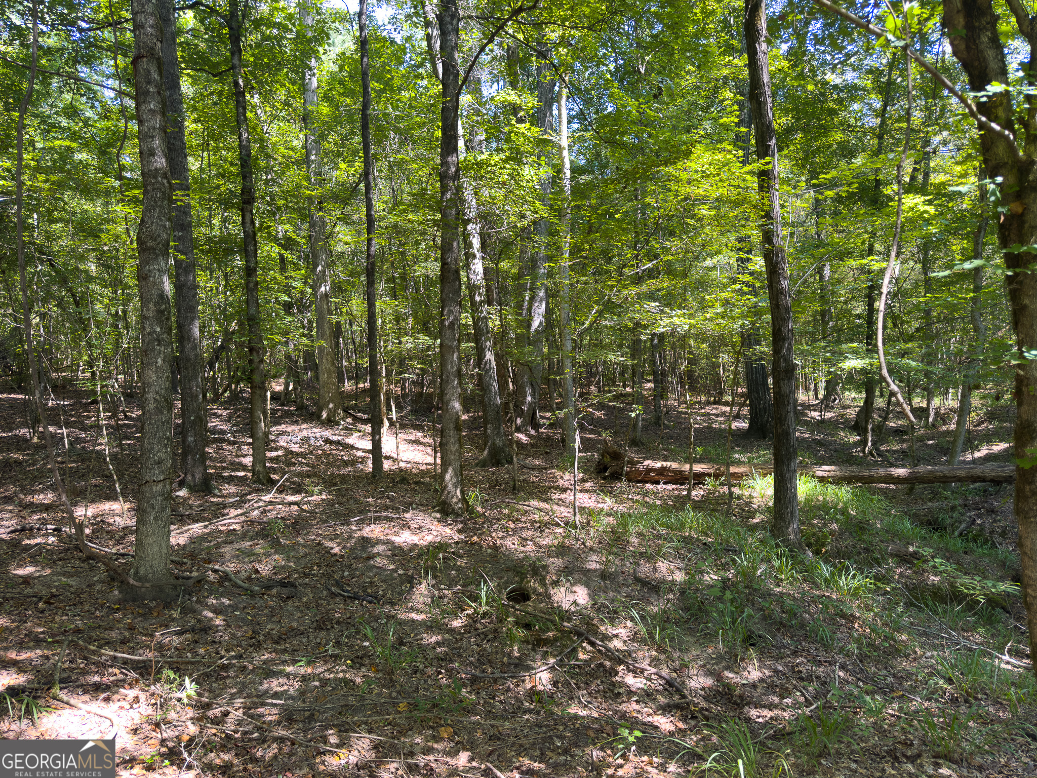 3086 Gray Highway Property Photo 20