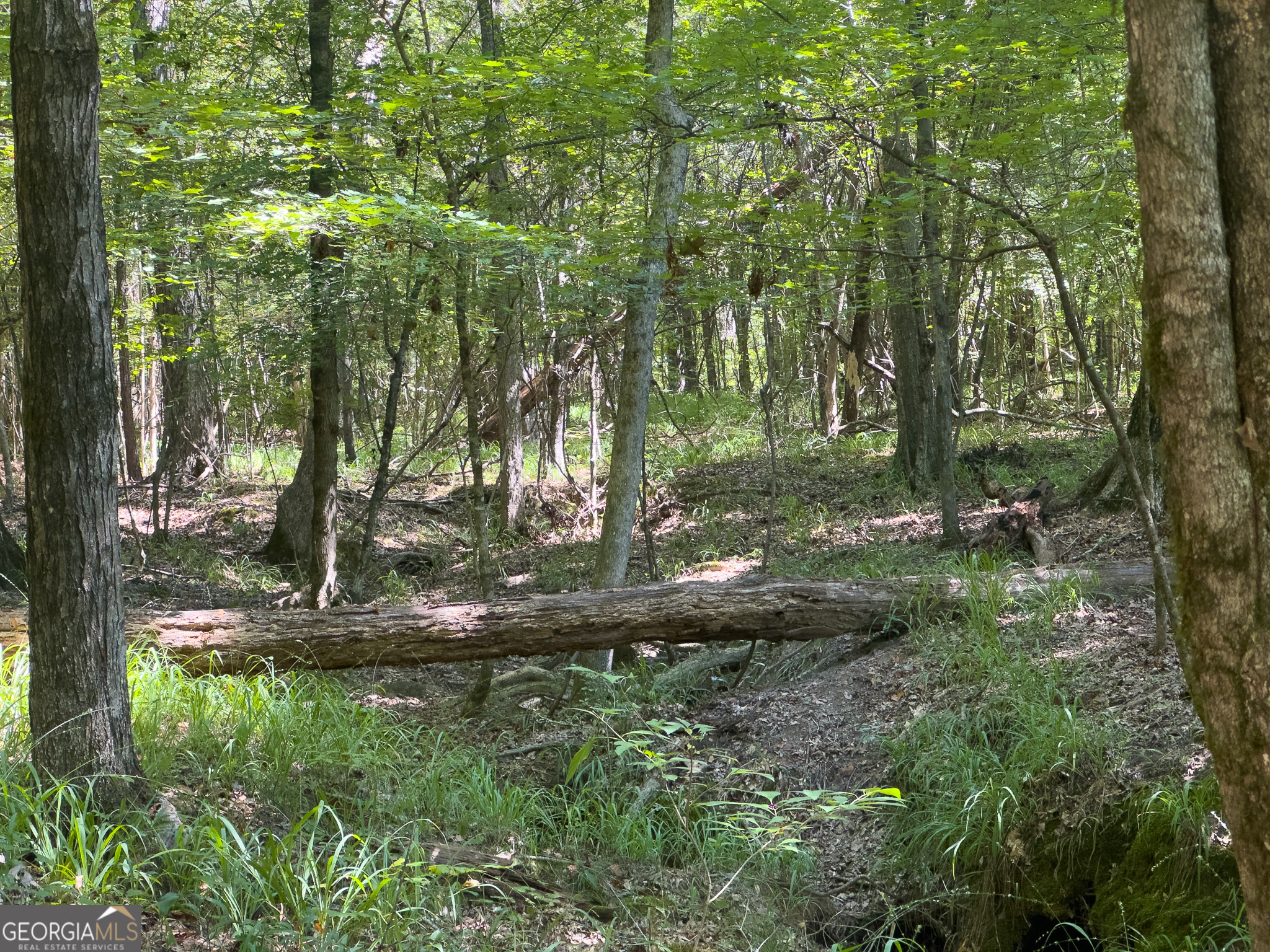 3086 Gray Highway Property Photo 21