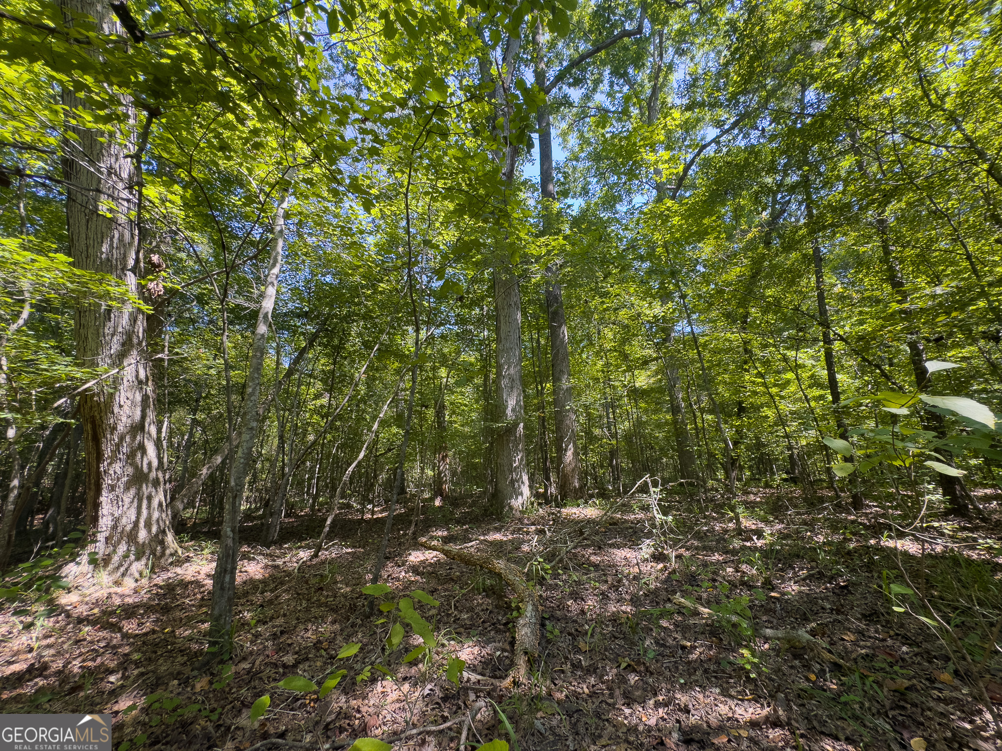 3086 Gray Highway Property Photo 22