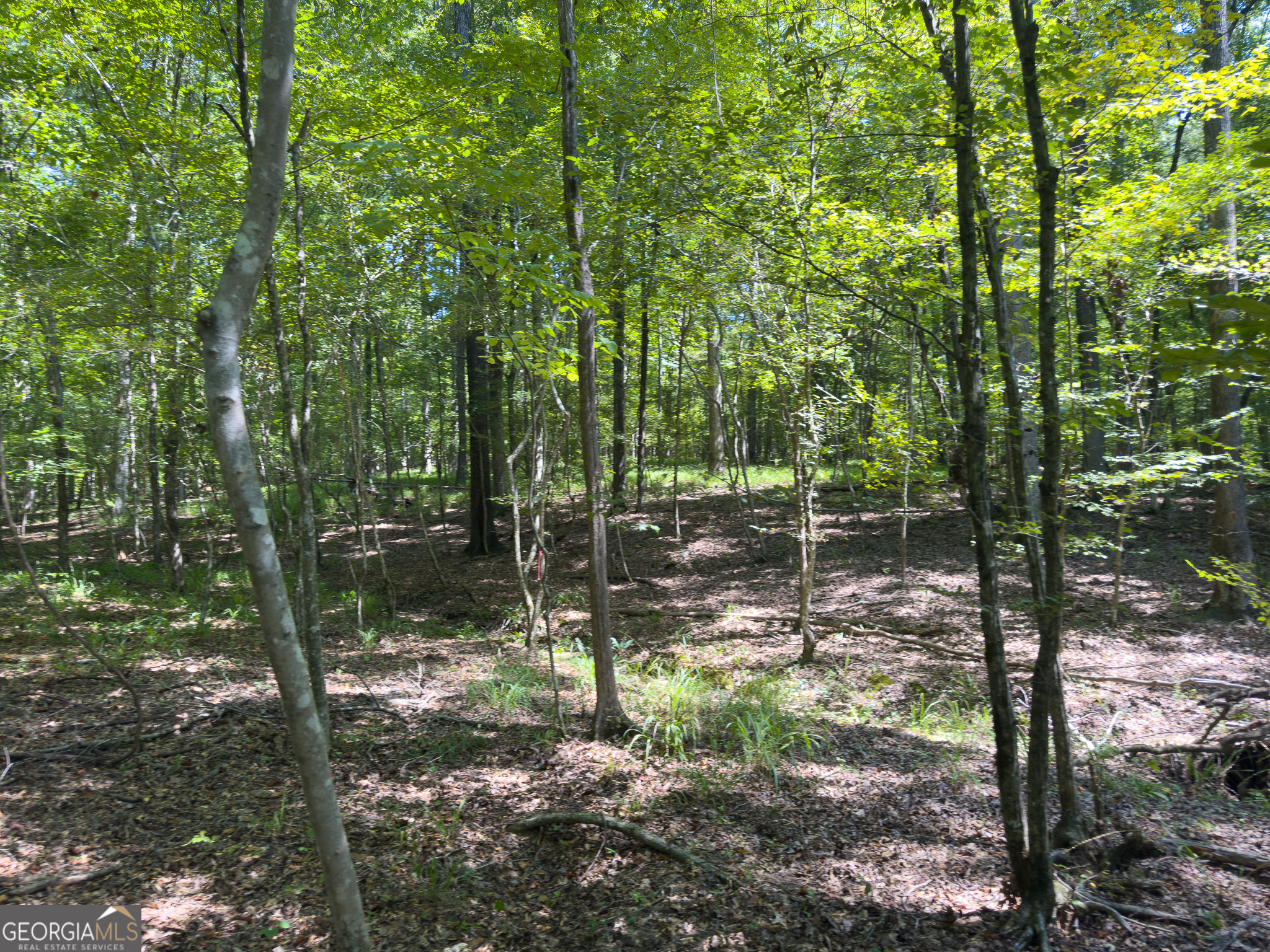 3086 Gray Highway Property Photo 23