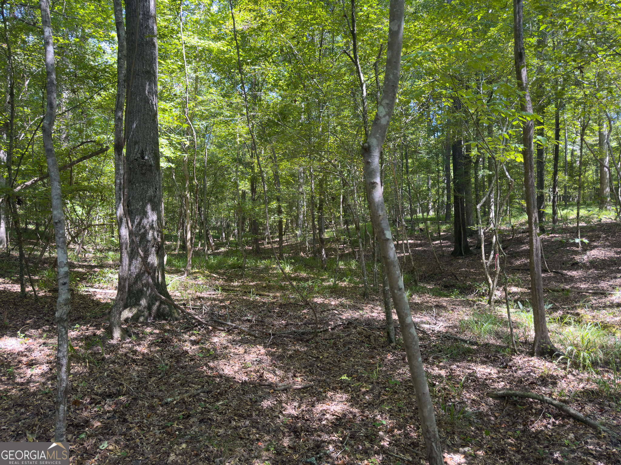 3086 Gray Highway Property Photo 24