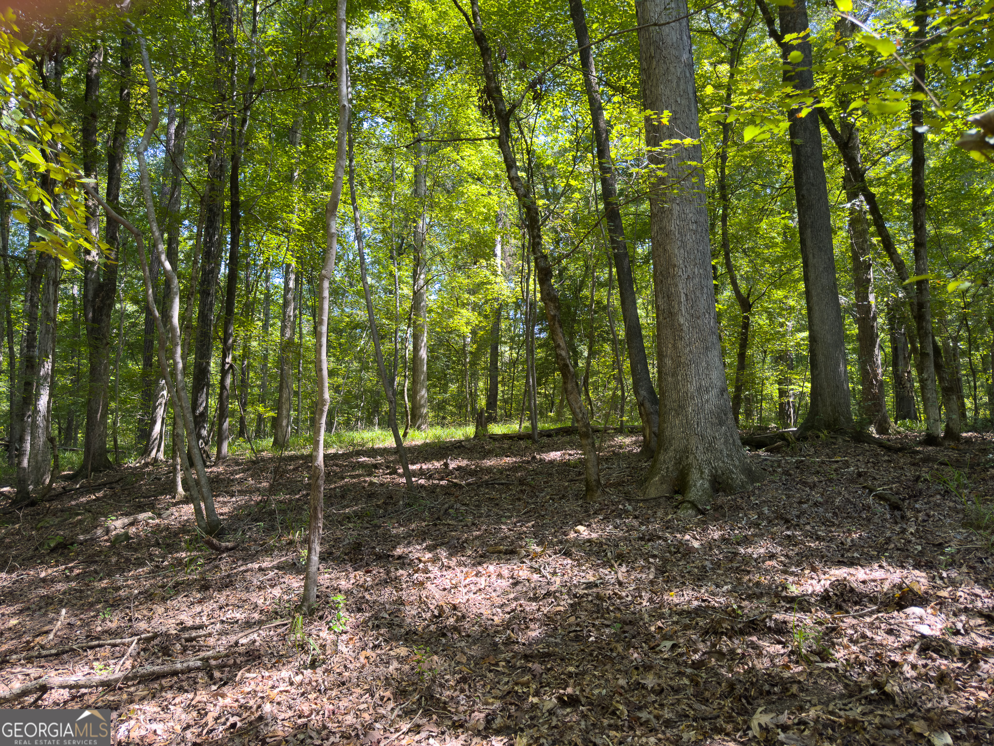 3086 Gray Highway Property Photo 25
