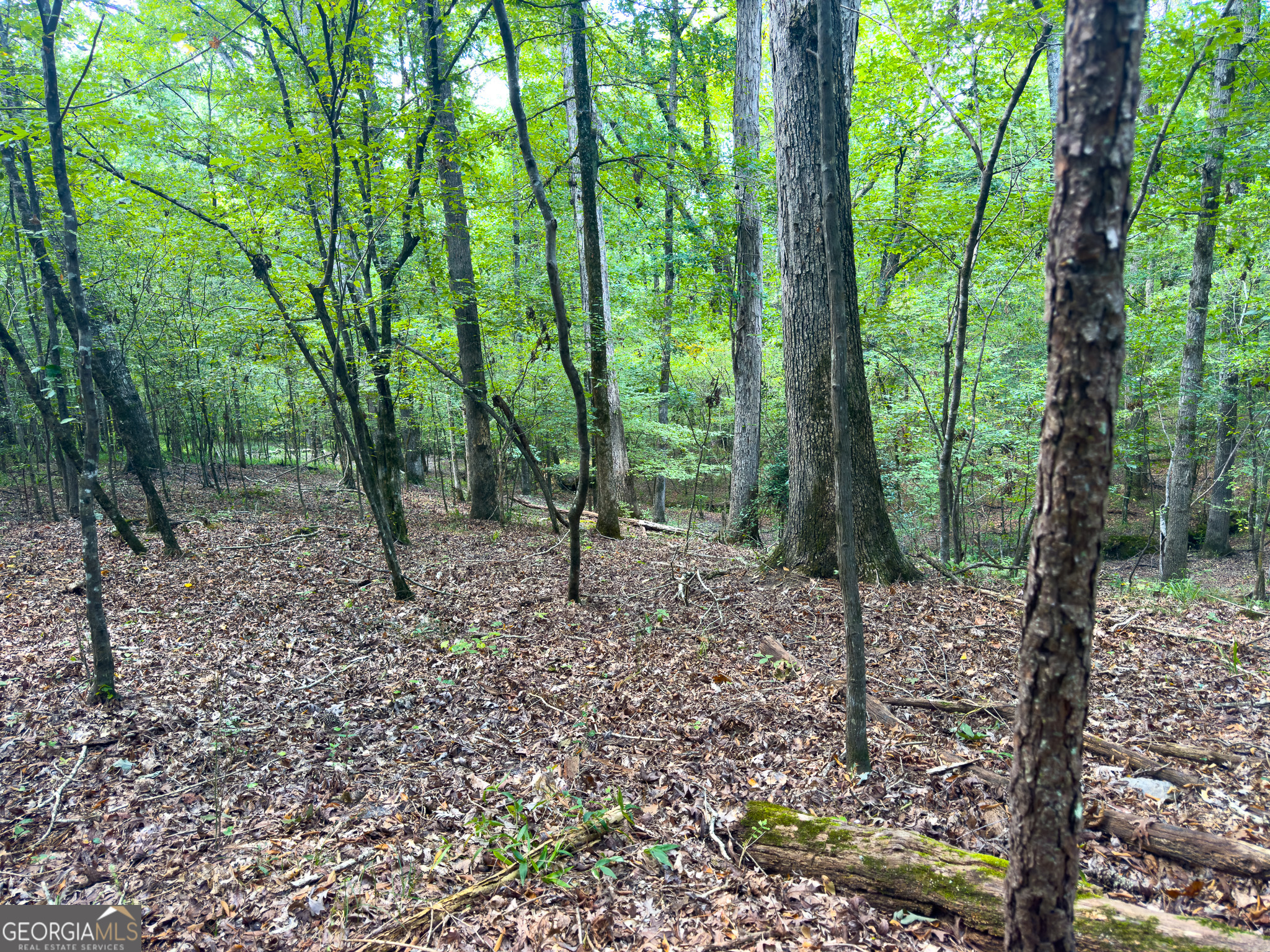 3086 Gray Highway Property Photo 27