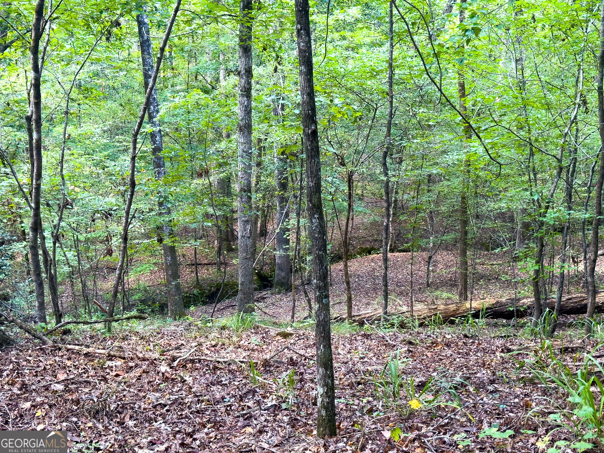 3086 Gray Highway Property Photo 28