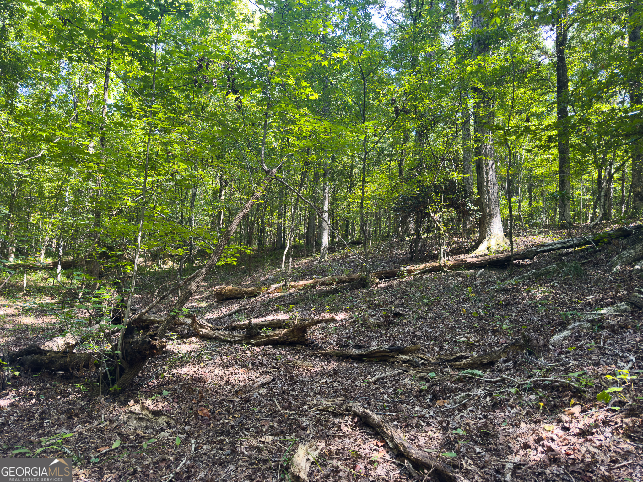 3086 Gray Highway Property Photo 29