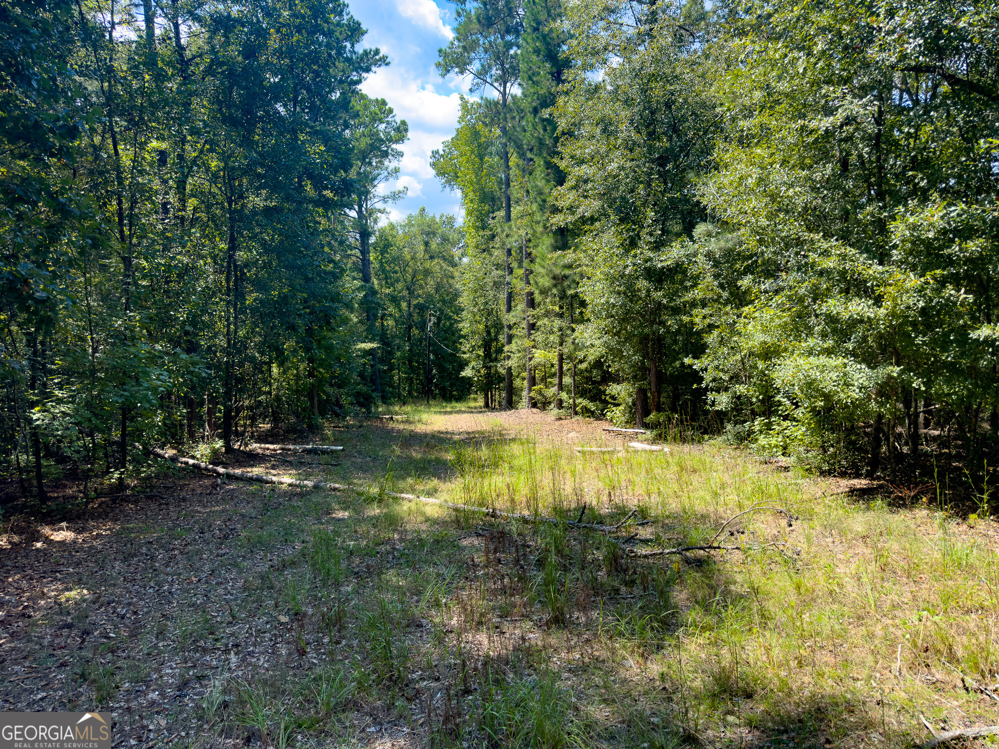 3086 Gray Highway Property Photo 31