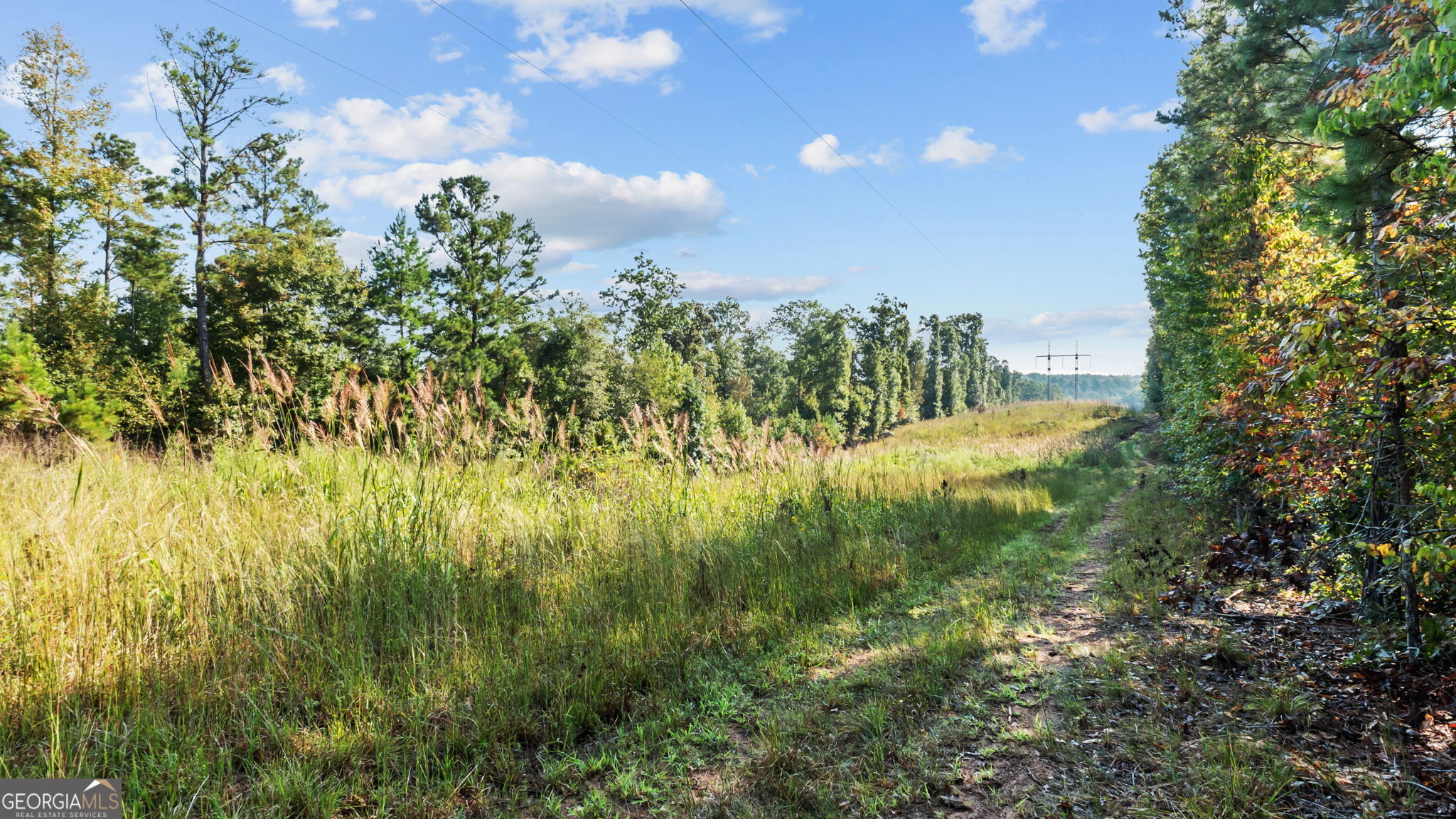 2987 Steele Road Property Photo 7