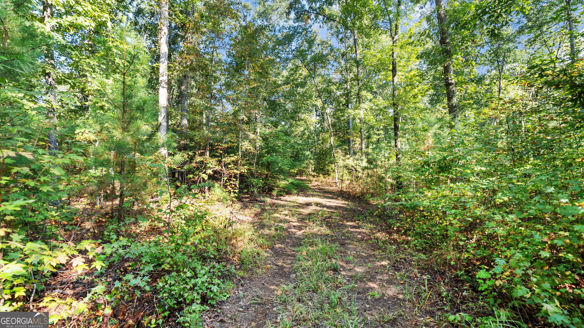 2987 Steele Road Property Photo 10