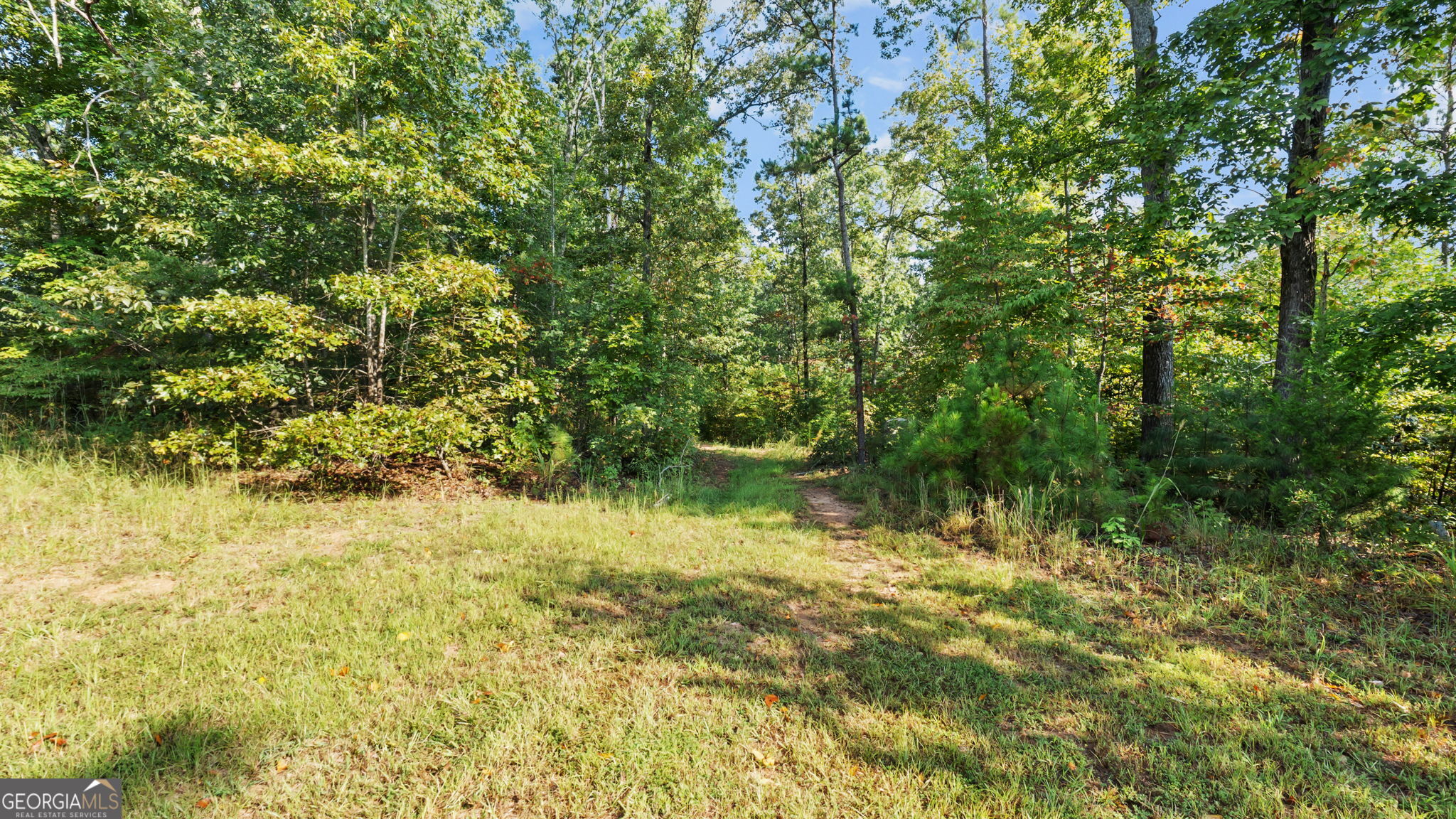 2987 Steele Road Property Photo 12