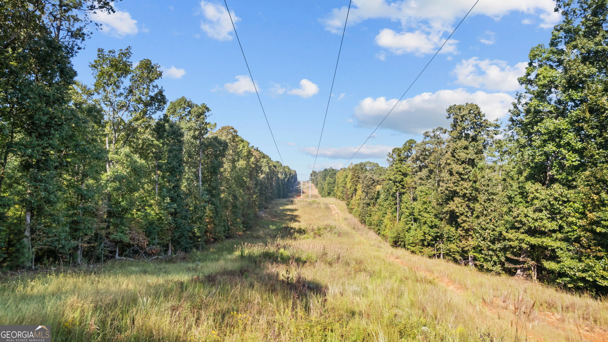 2987 Steele Road Property Photo 15
