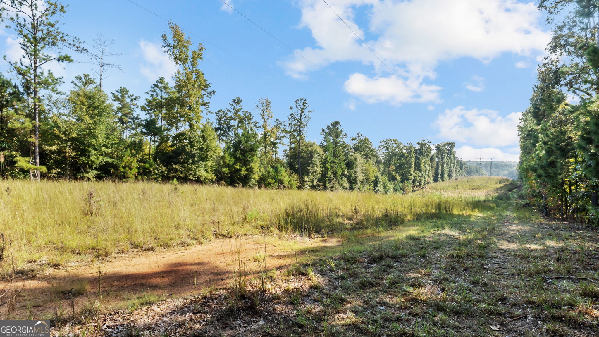 2987 Steele Road Property Photo 20