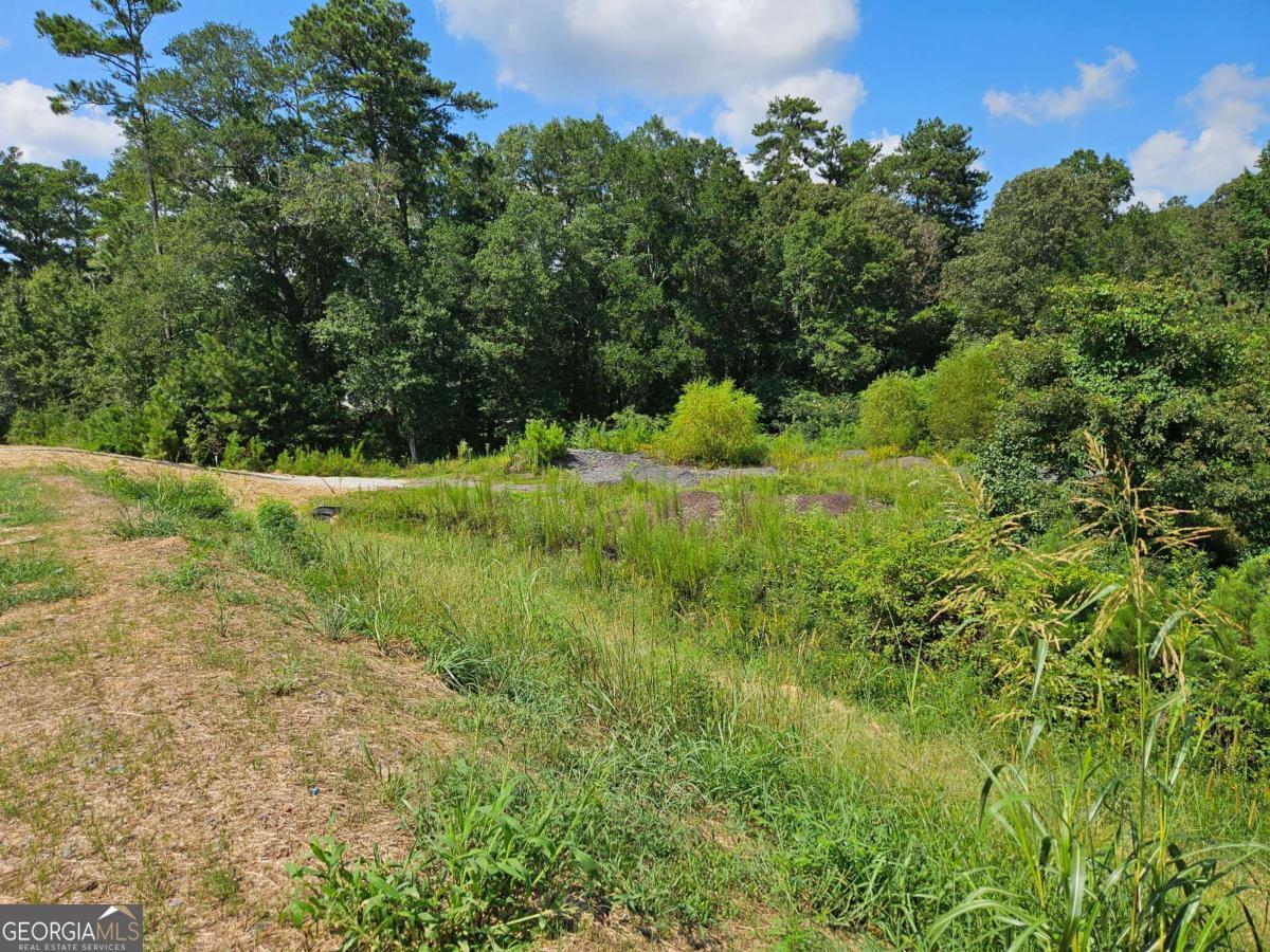 0 Lost Mountain Road Sw Property Photo 3