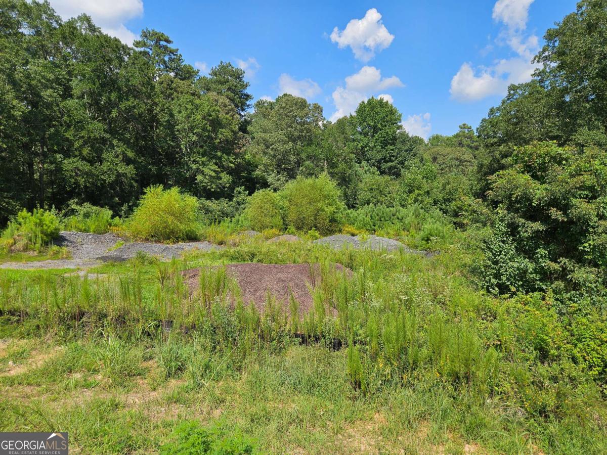 0 Lost Mountain Road Sw Property Photo 4