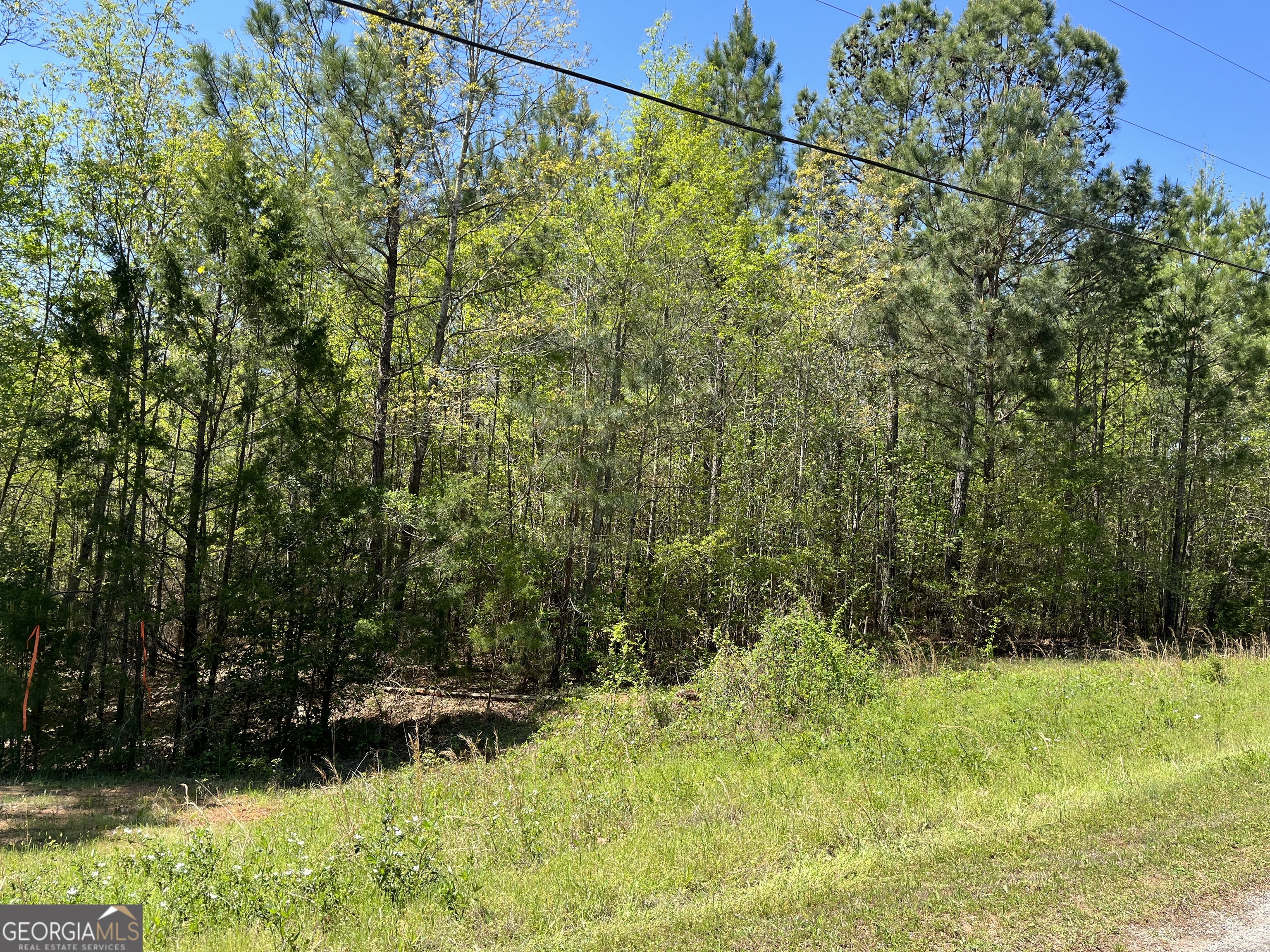 Lot 36 Omaha Drive Property Photo 3