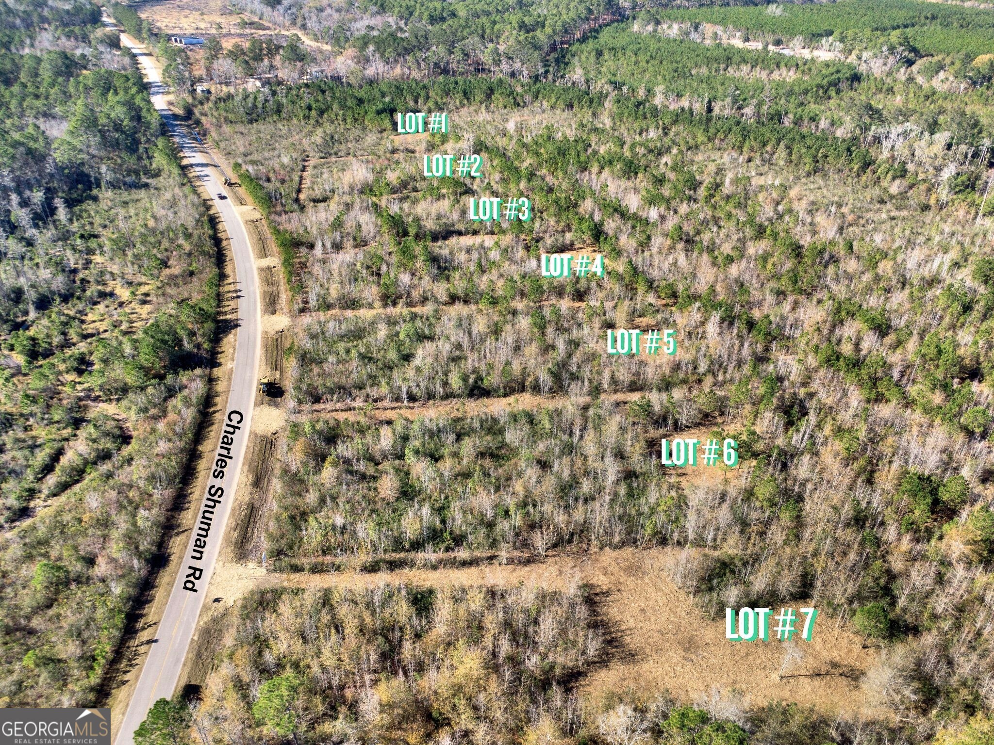 Lot 1 Charles Shuman Road Property Photo 3