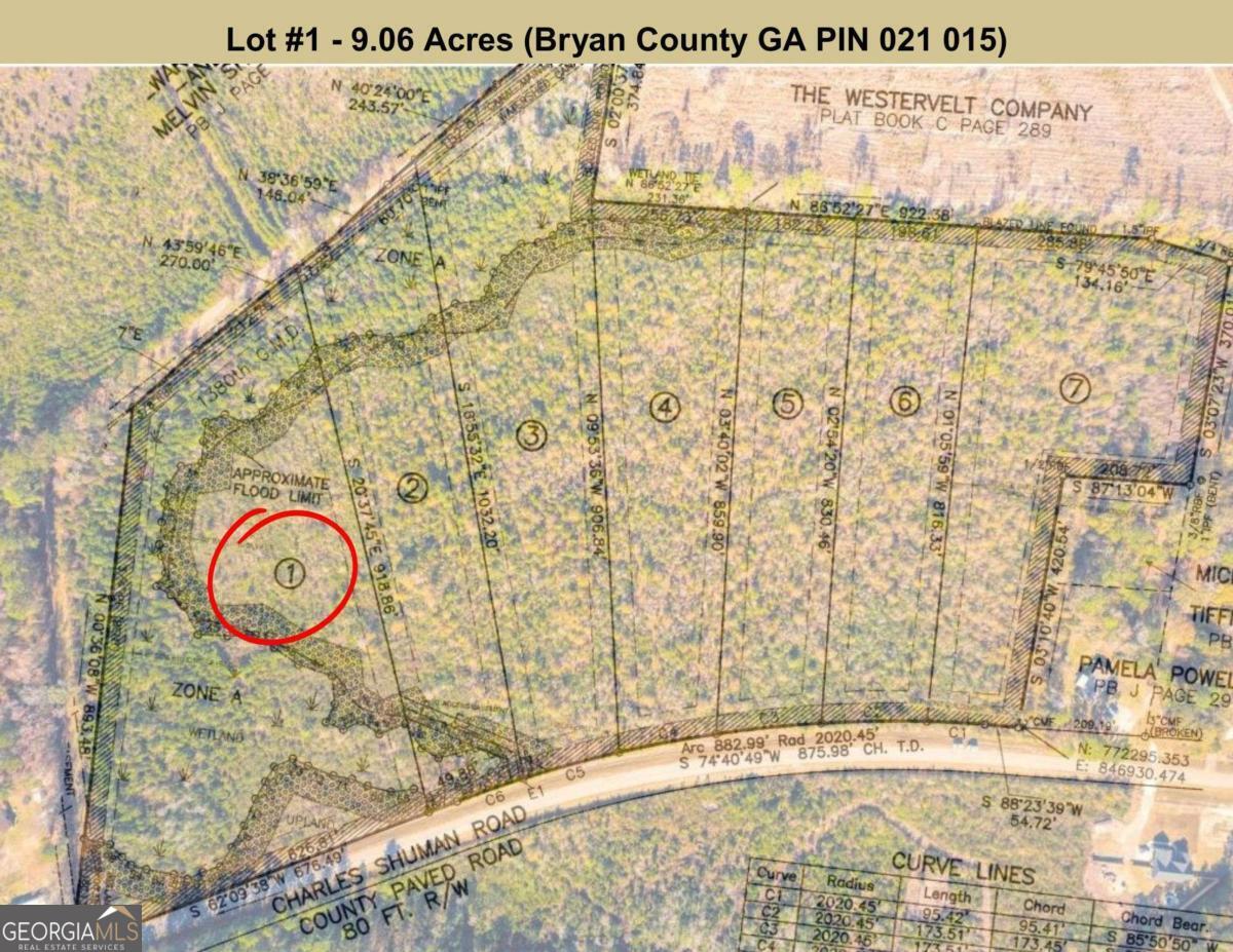 Lot 1 Charles Shuman Road Property Photo 4