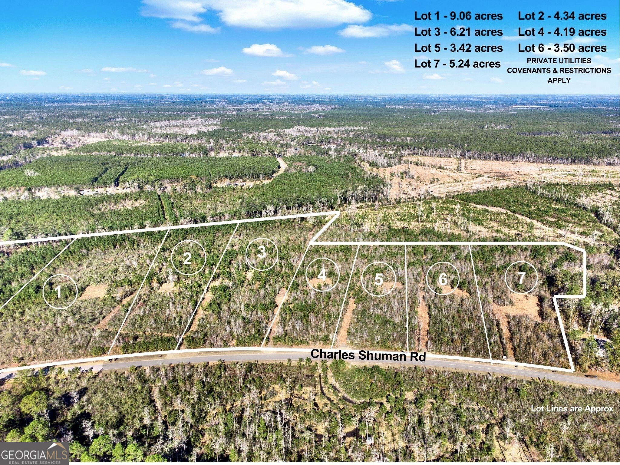 Lot 5 Charles Shuman Road Property Photo 2