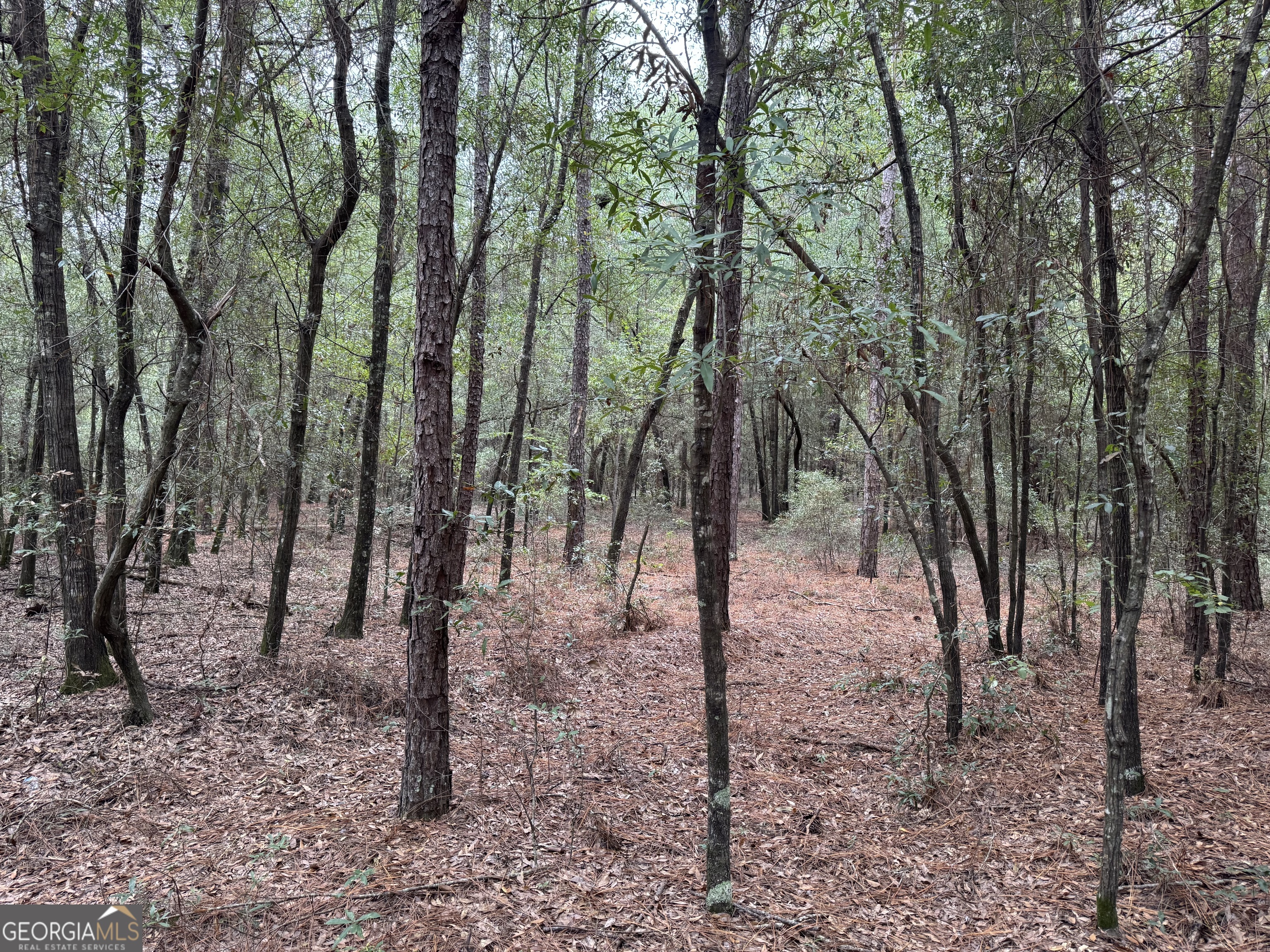 0 Glen Drive Property Photo 11