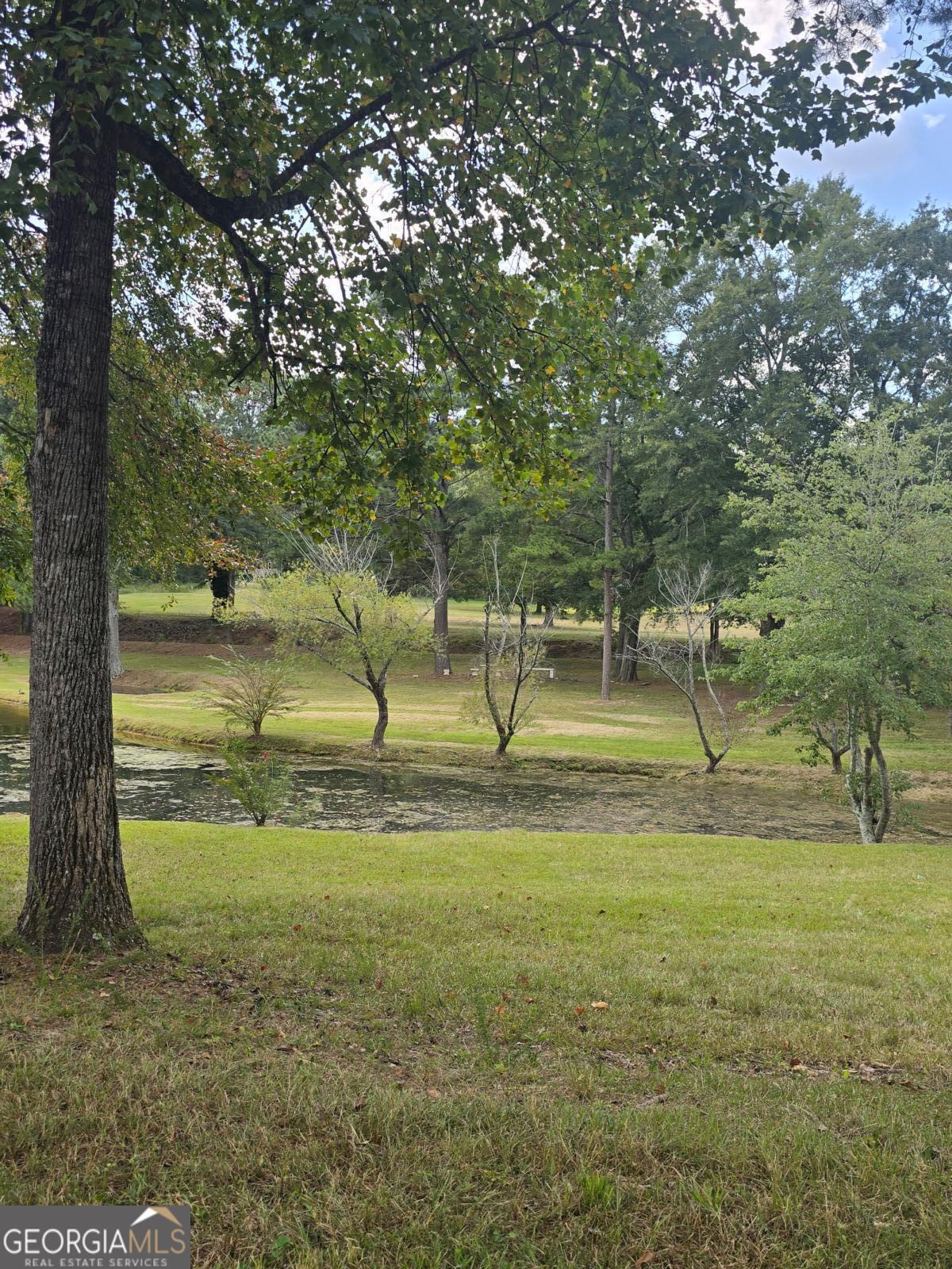 4462 Lee Road Property Photo 1