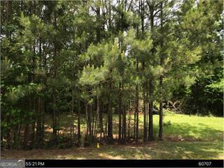 417 Lake Water Point Property Photo 1