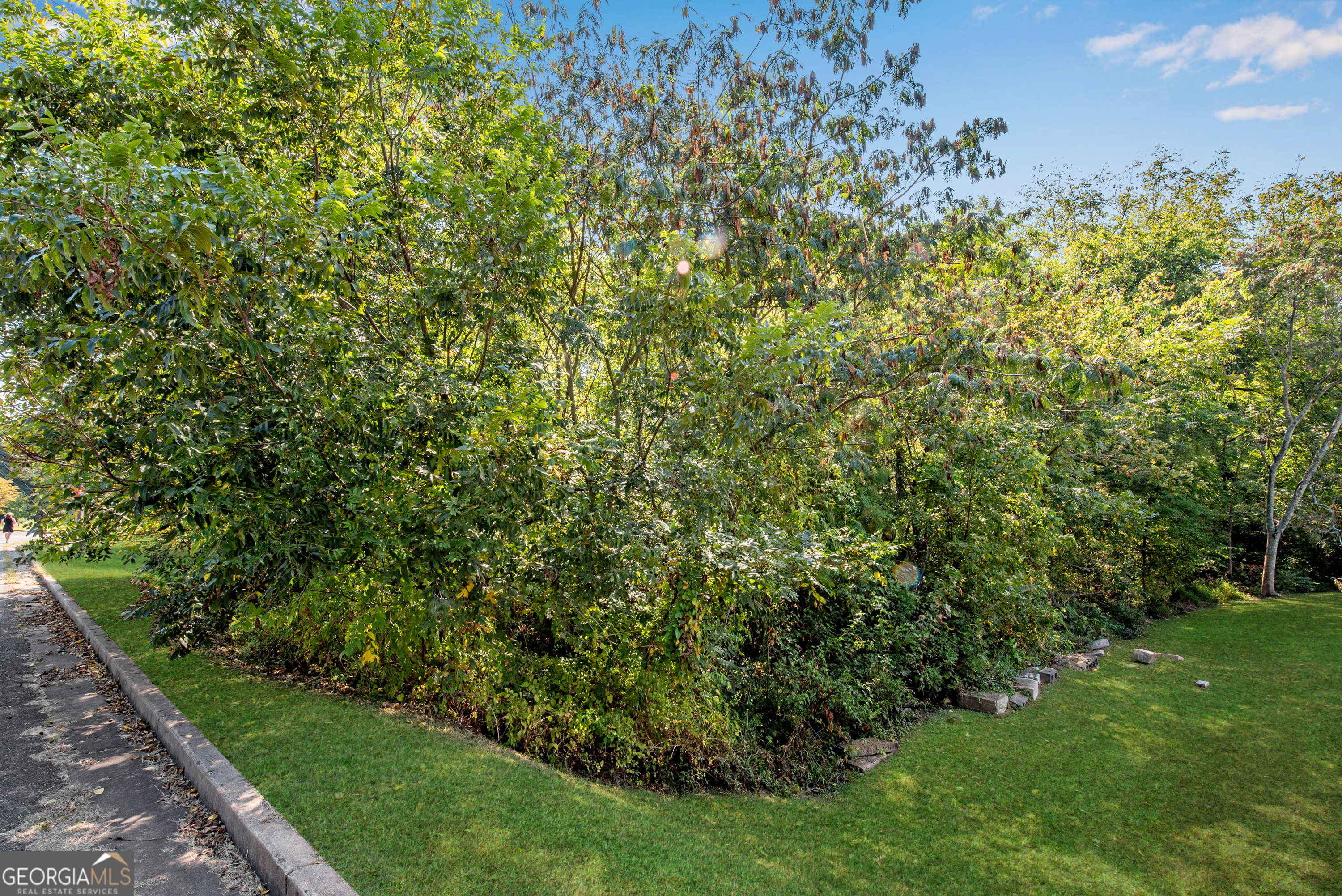 0 Reavis Street Property Photo 6
