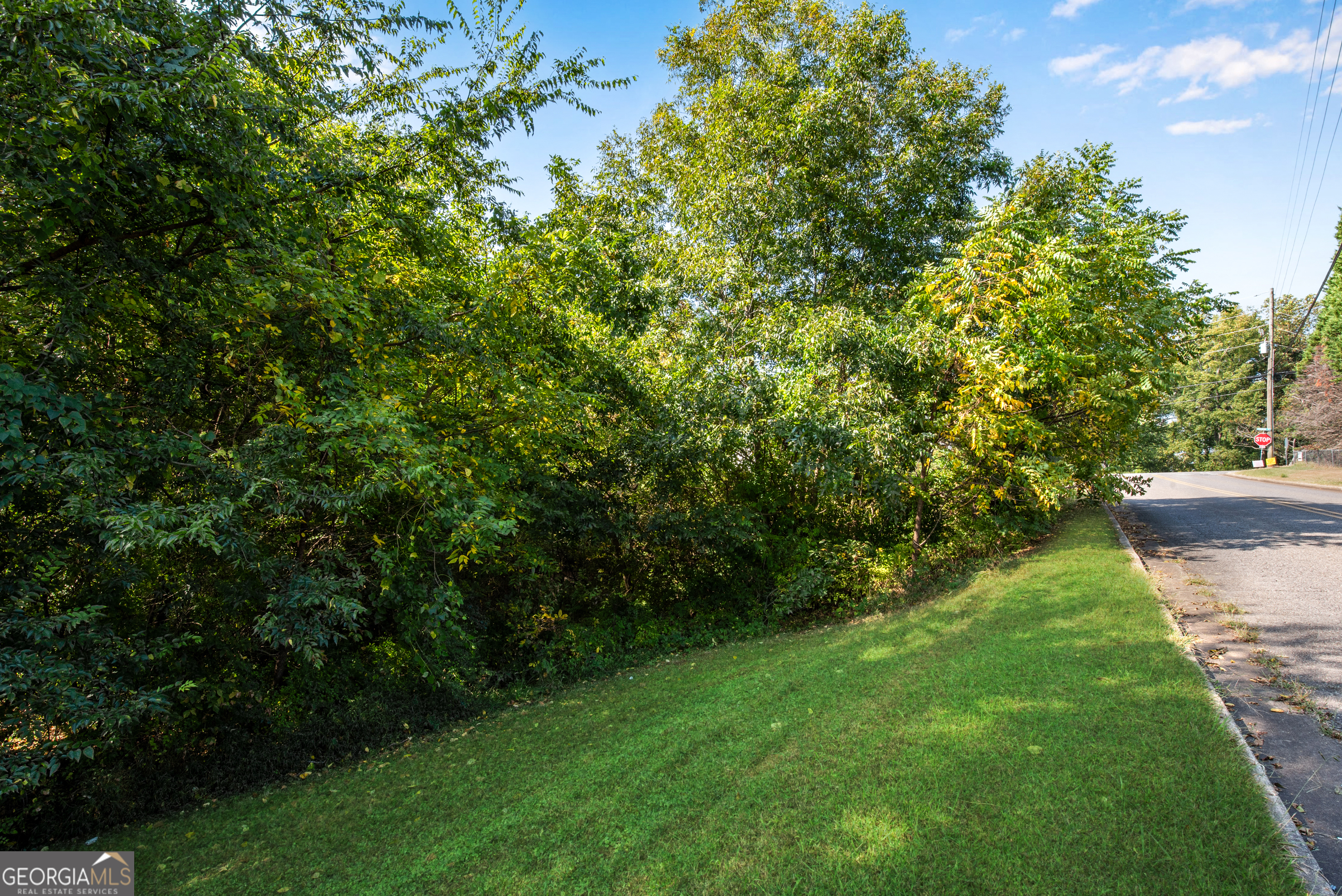 0 Reavis Street Property Photo 8