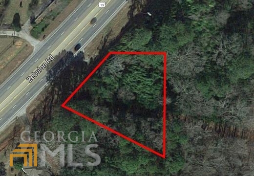 15390 U S Highway 19 Highway Property Photo 1