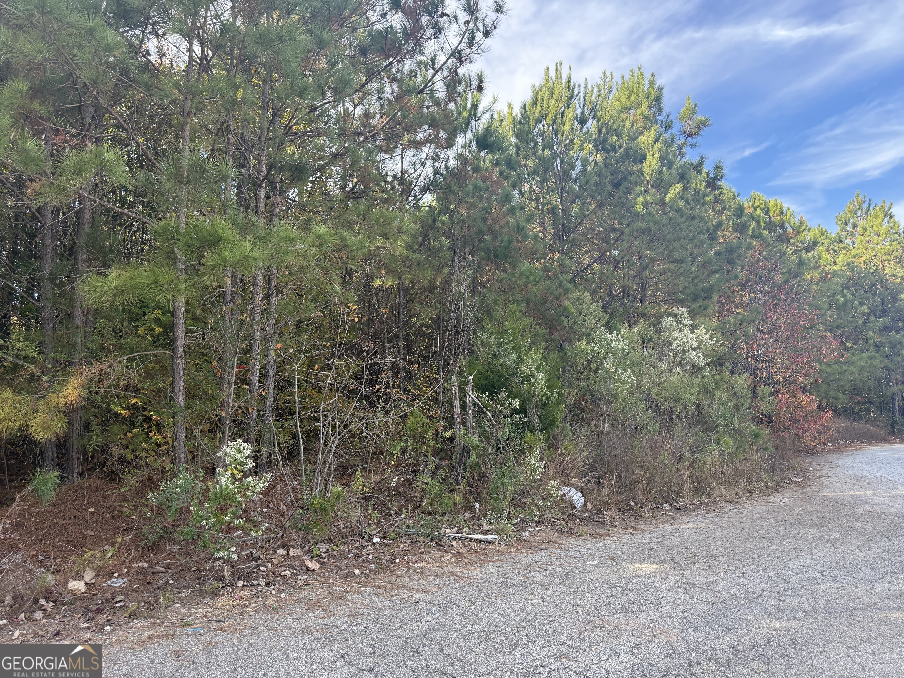 8626 Webb Road Property Photo 5