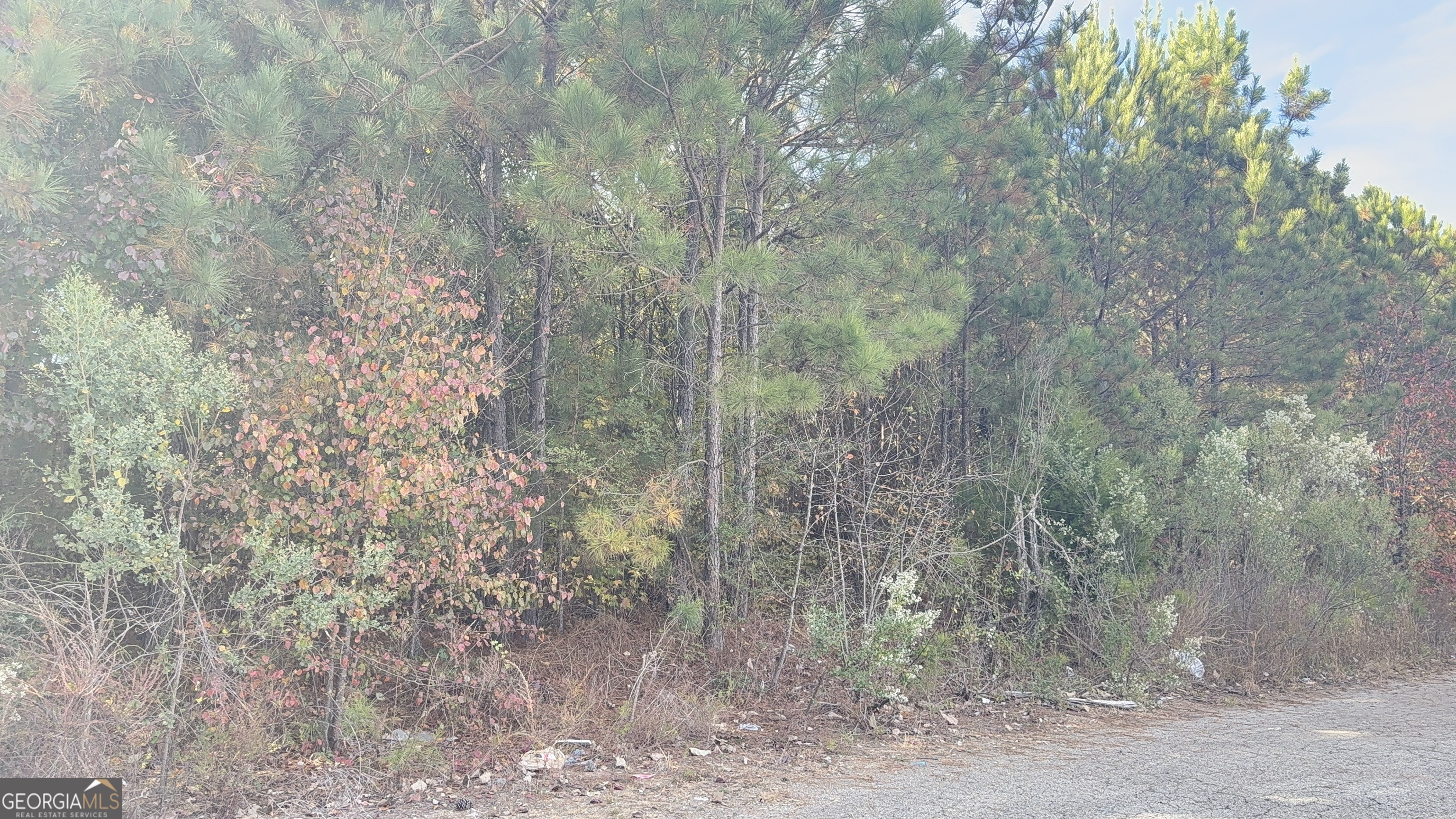 8638 Webb Road Property Photo 6
