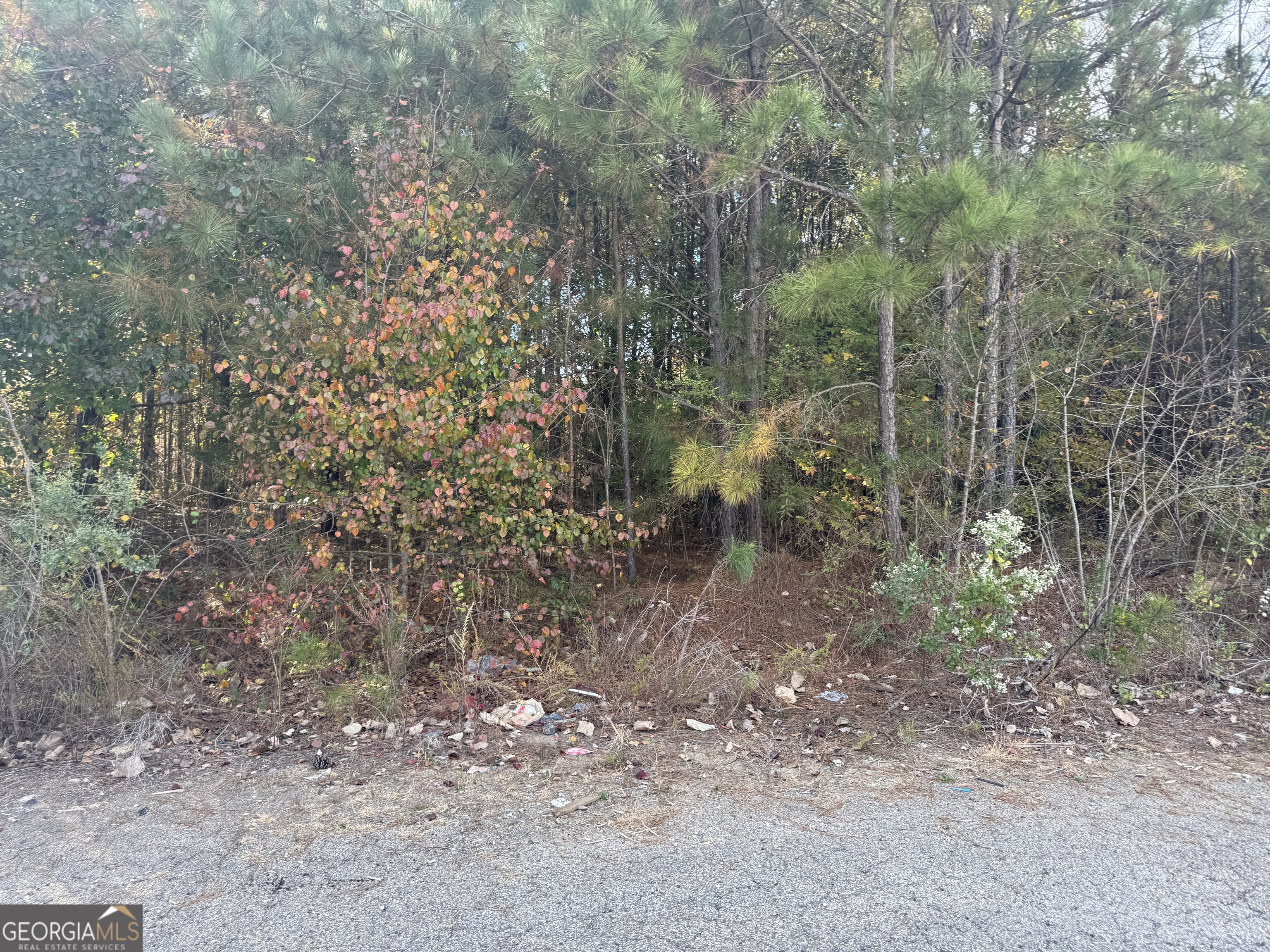 8640 Webb Road Property Photo 5
