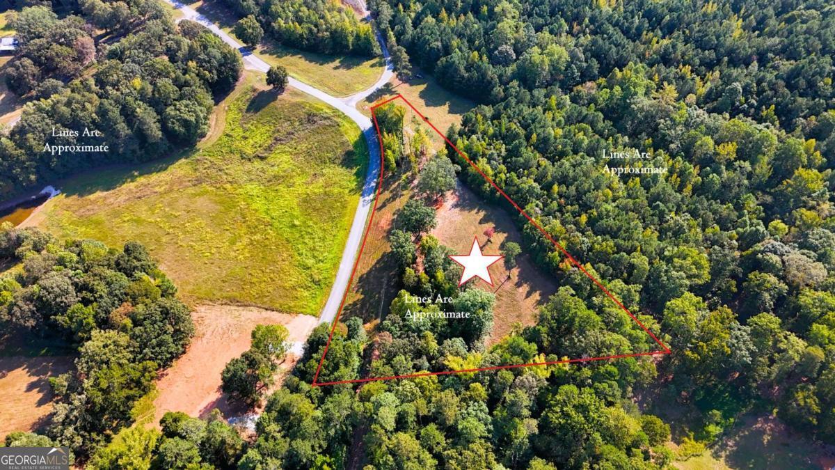 428 Snote Jones Road Property Photo 3