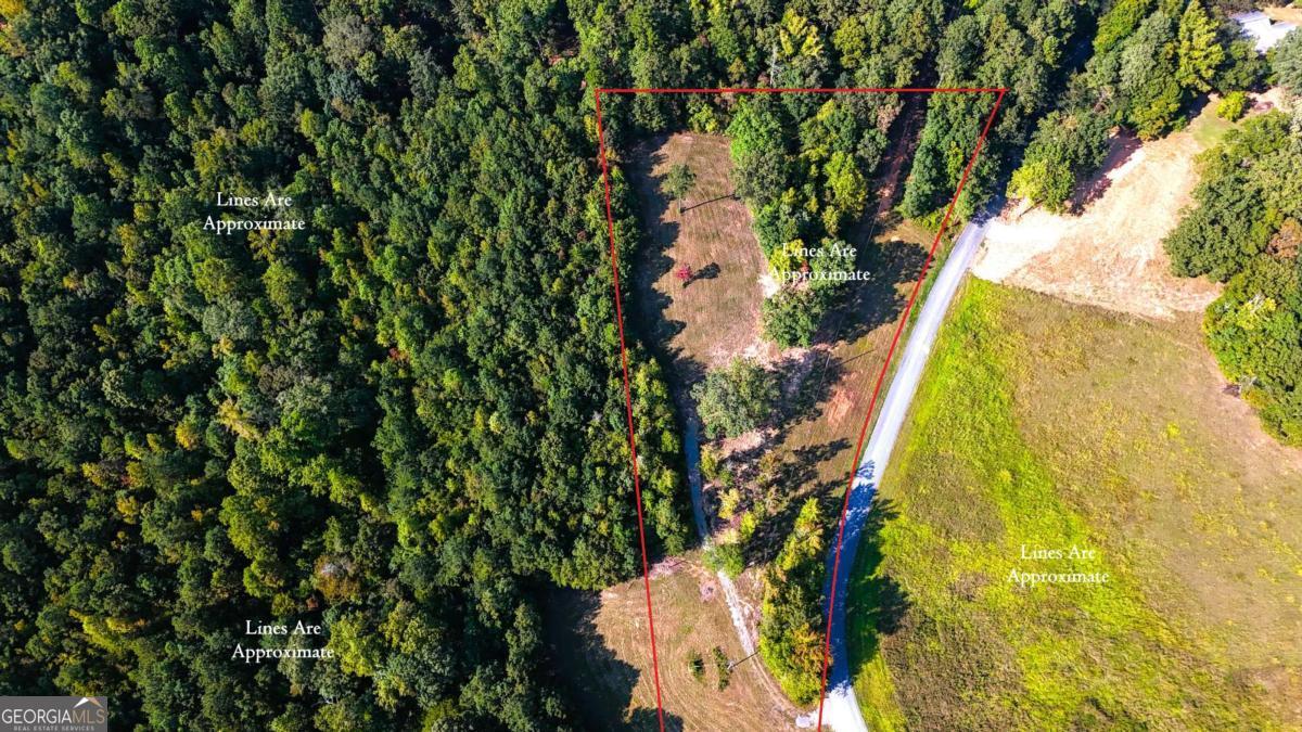 428 Snote Jones Road Property Photo 4