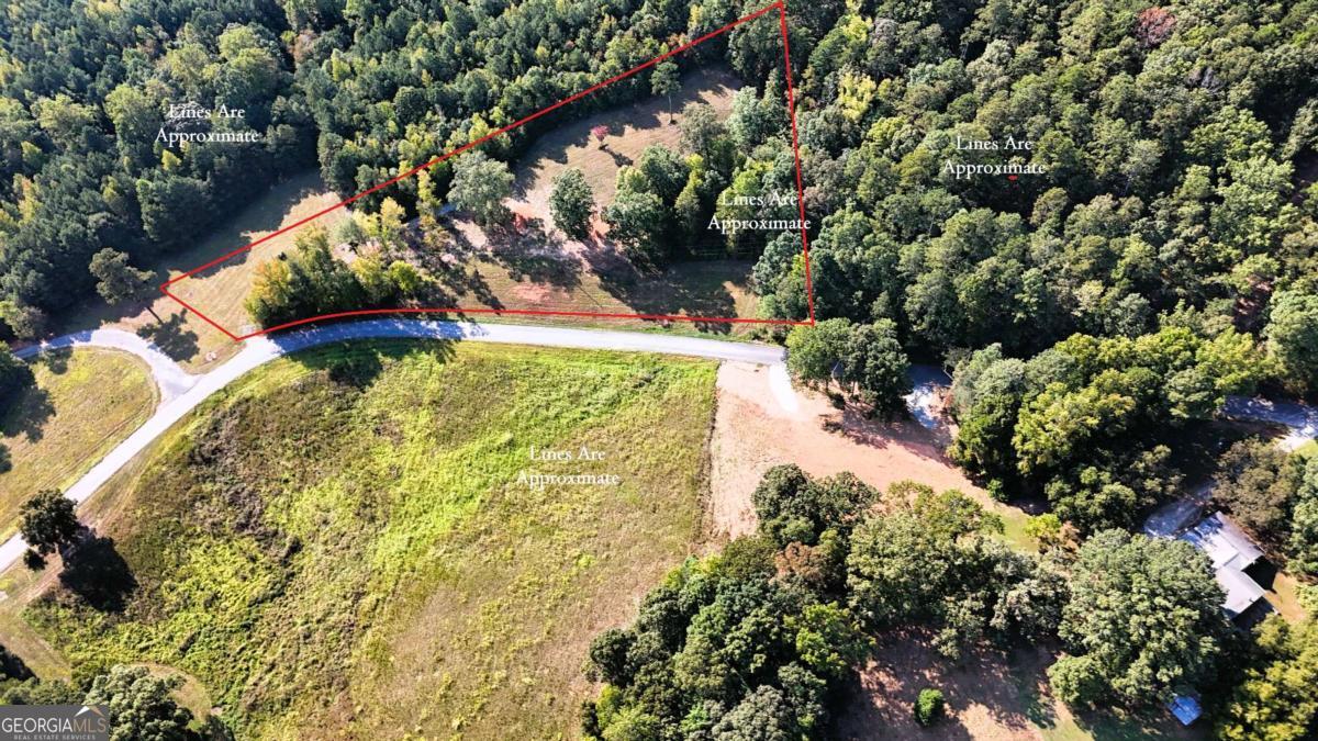 428 Snote Jones Road Property Photo 6
