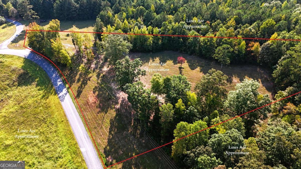 428 Snote Jones Road Property Photo 7