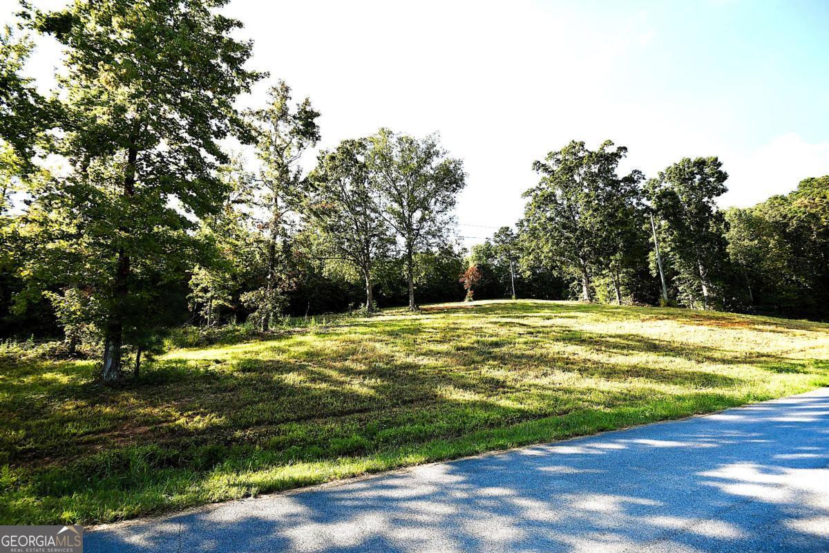 428 Snote Jones Road Property Photo 9
