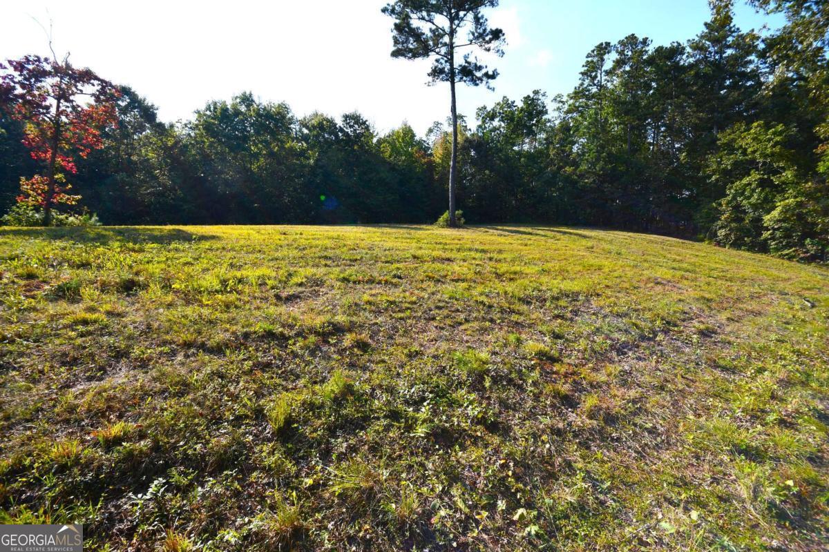 428 Snote Jones Road Property Photo 11