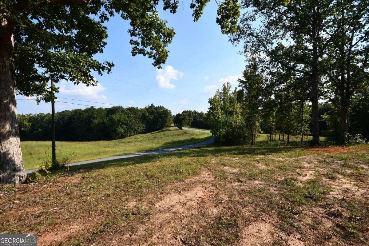 428 Snote Jones Road Property Photo 15