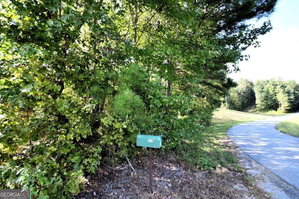 428 Snote Jones Road Property Photo 17