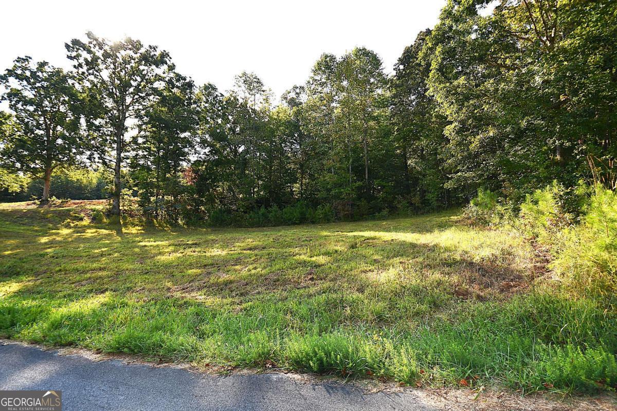 428 Snote Jones Road Property Photo 18