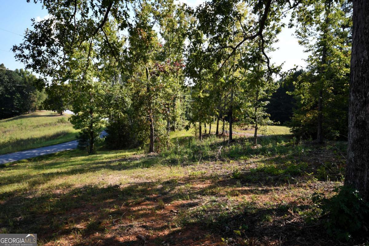 428 Snote Jones Road Property Photo 19