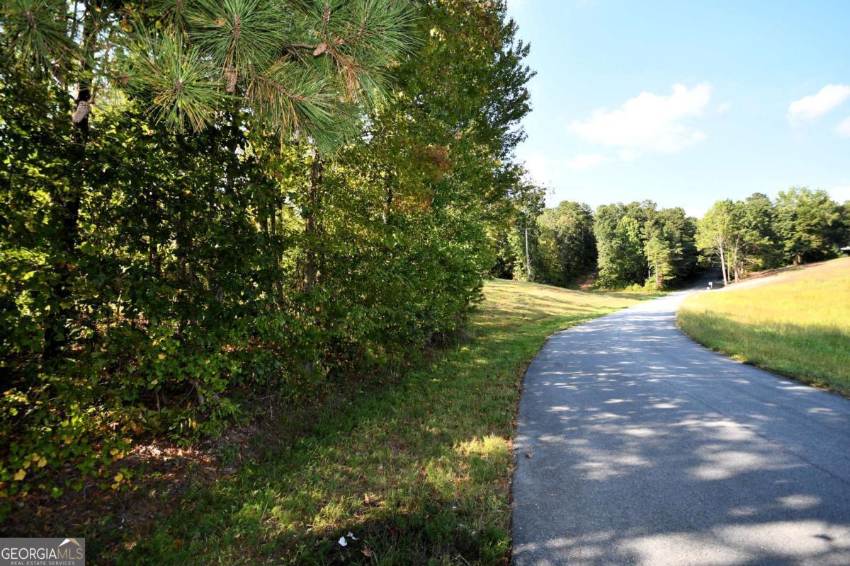 428 Snote Jones Road Property Photo 20